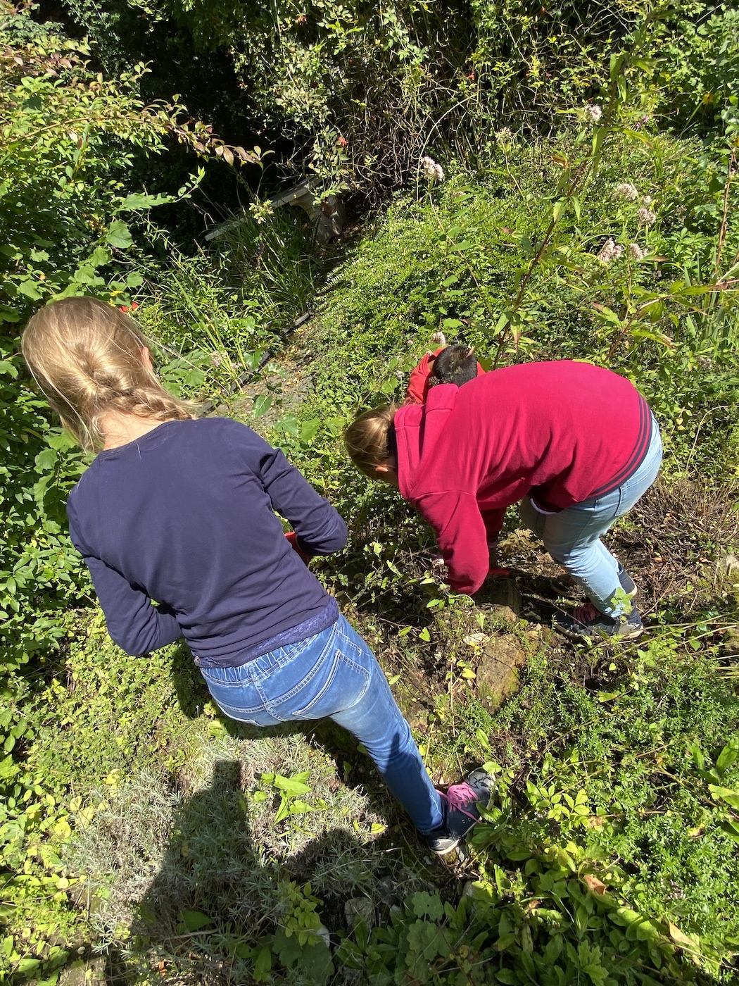 31.08.2021 Start Schulgarten AG94