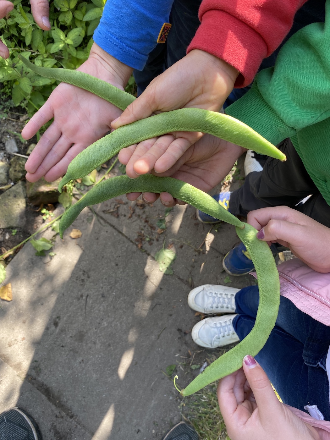 31.08.2021 Start Schulgarten AG98