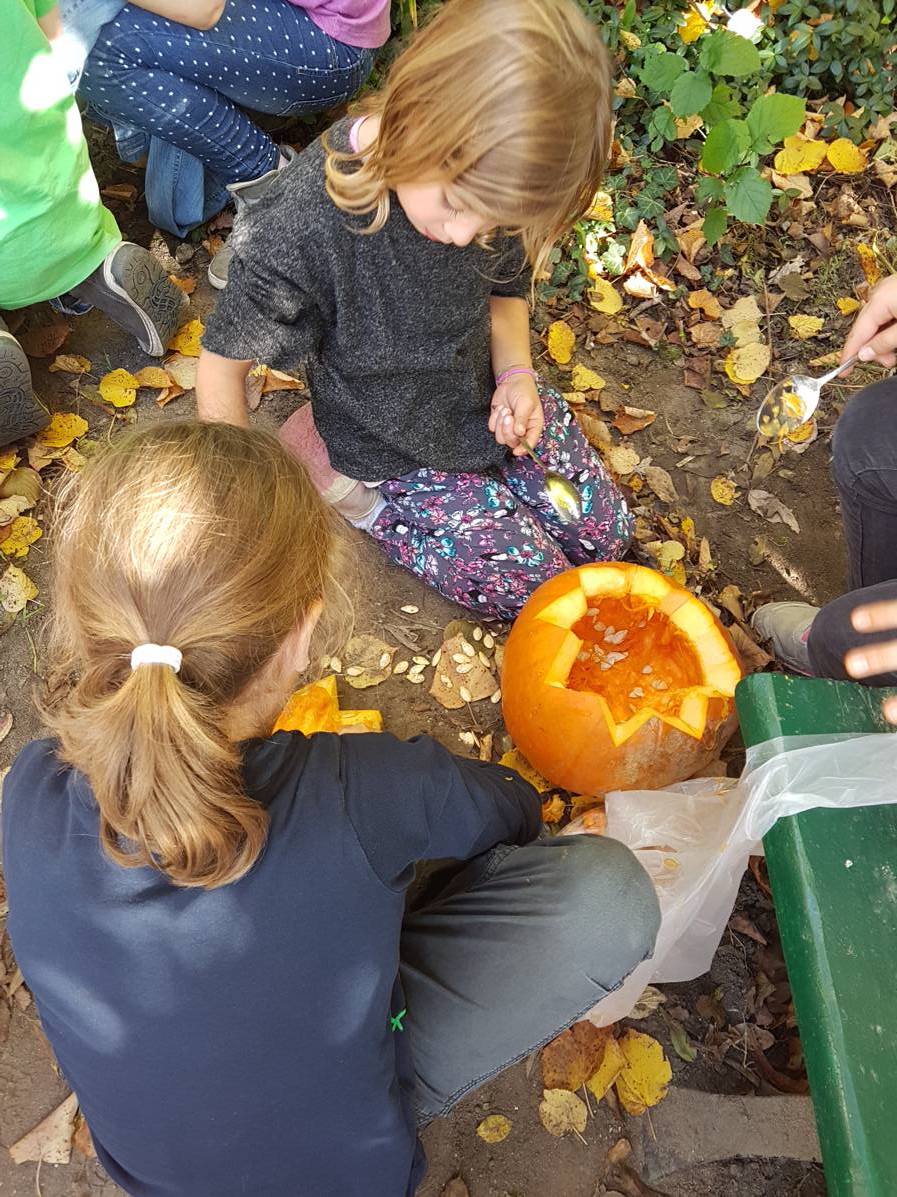 18.10.2017 Garten AG143702 Kopie