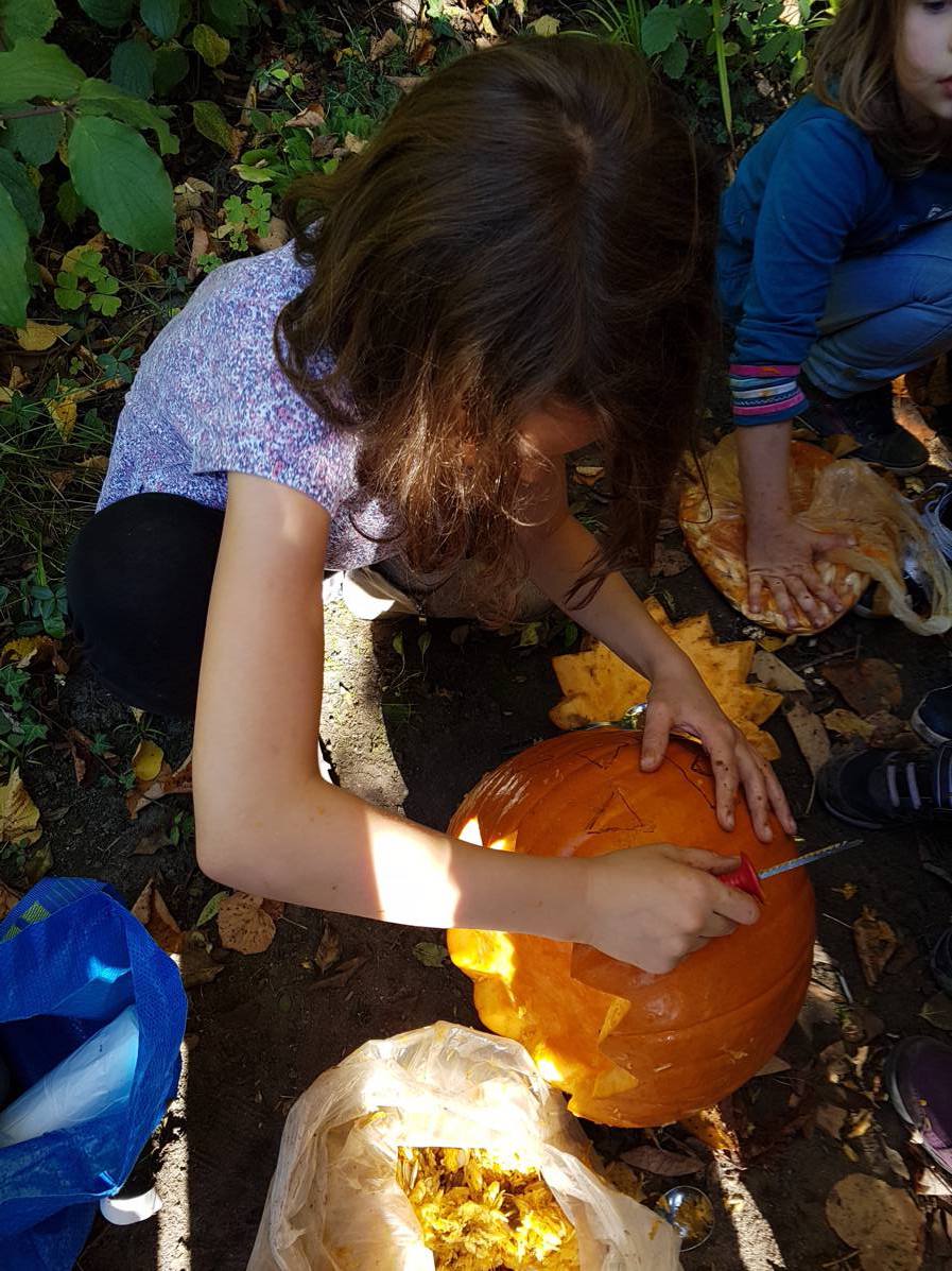 18.10.2017 Garten AG151130 Kopie