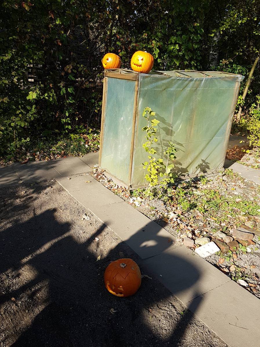 18.10.2017 Garten AG153353 Kopie