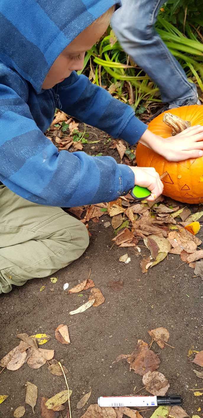 30.10.2018 Garten AG Kürbisse schnitzen145254 Kopie