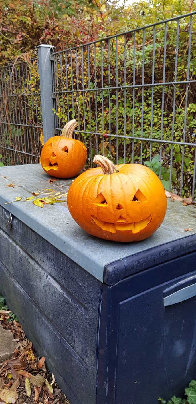30.10.2018 Garten AG Kürbisse schnitzen154038 Kopie