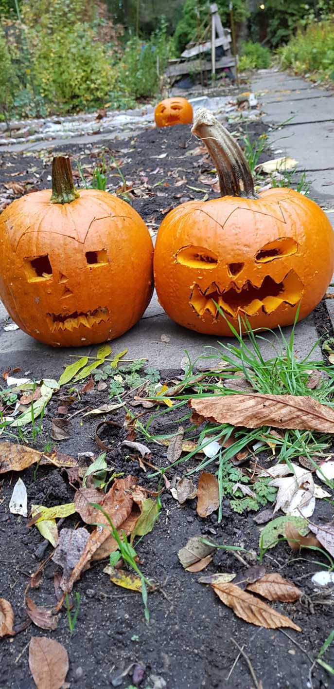 30.10.2018 Garten AG Kürbisse schnitzen154100 Kopie
